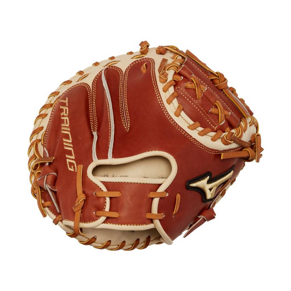 Catchers Mitt Mizuno Baseball Pro Select Training 31" Uomo - Marroni - 92058-TDVW